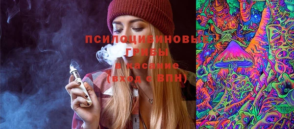 дживик Абаза
