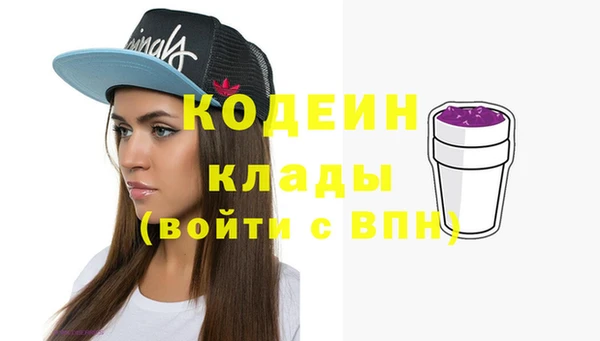 дживик Абаза