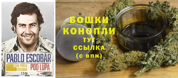 spice Осташков