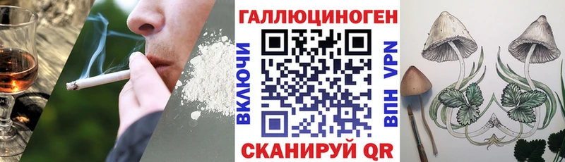 Галлюциногенные грибы Psilocybine cubensis  Яранск 